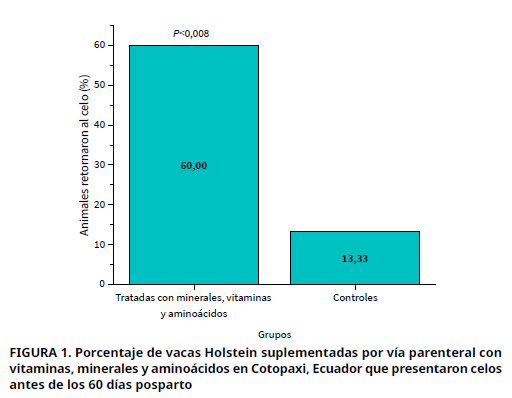 Imagen de portada