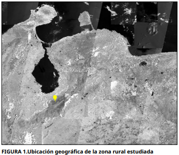 Imagen de portada