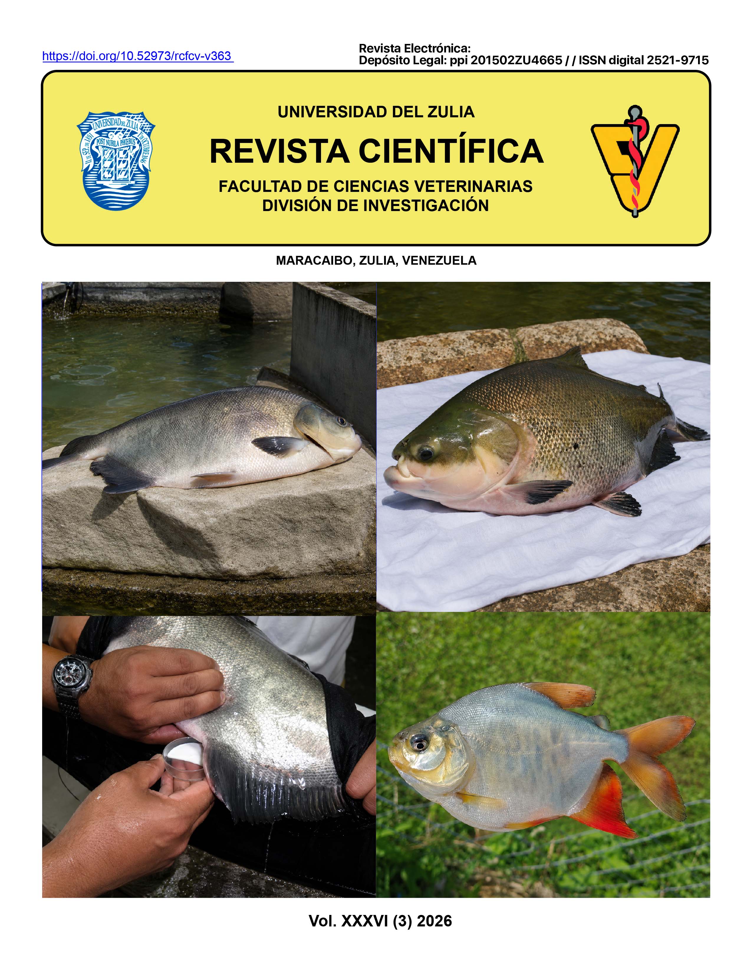Imagen de portada